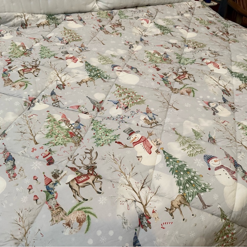 Pottery Barn Snow Day Gnomes Comforter Full/Queen Organic Cotton